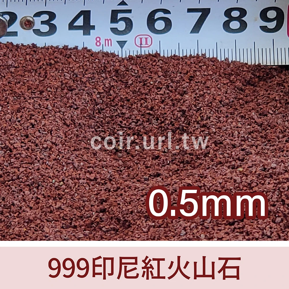 999印尼紅火山石(多肉石 蘭花石)Red Lava Rock