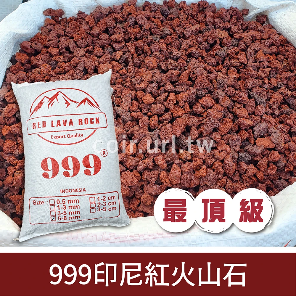 999印尼紅火山石(多肉石 蘭花石)Red Lava Rock