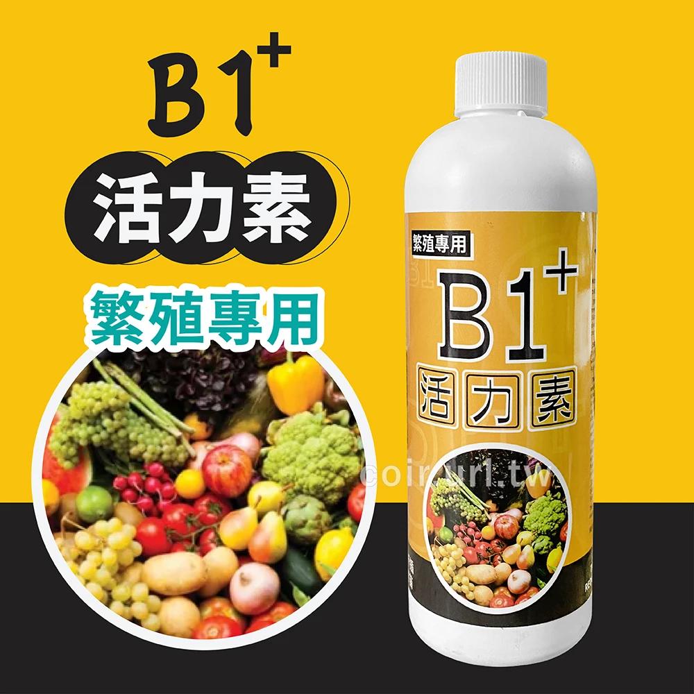 微綠B1+活力素 扦插播種育苗開根劑