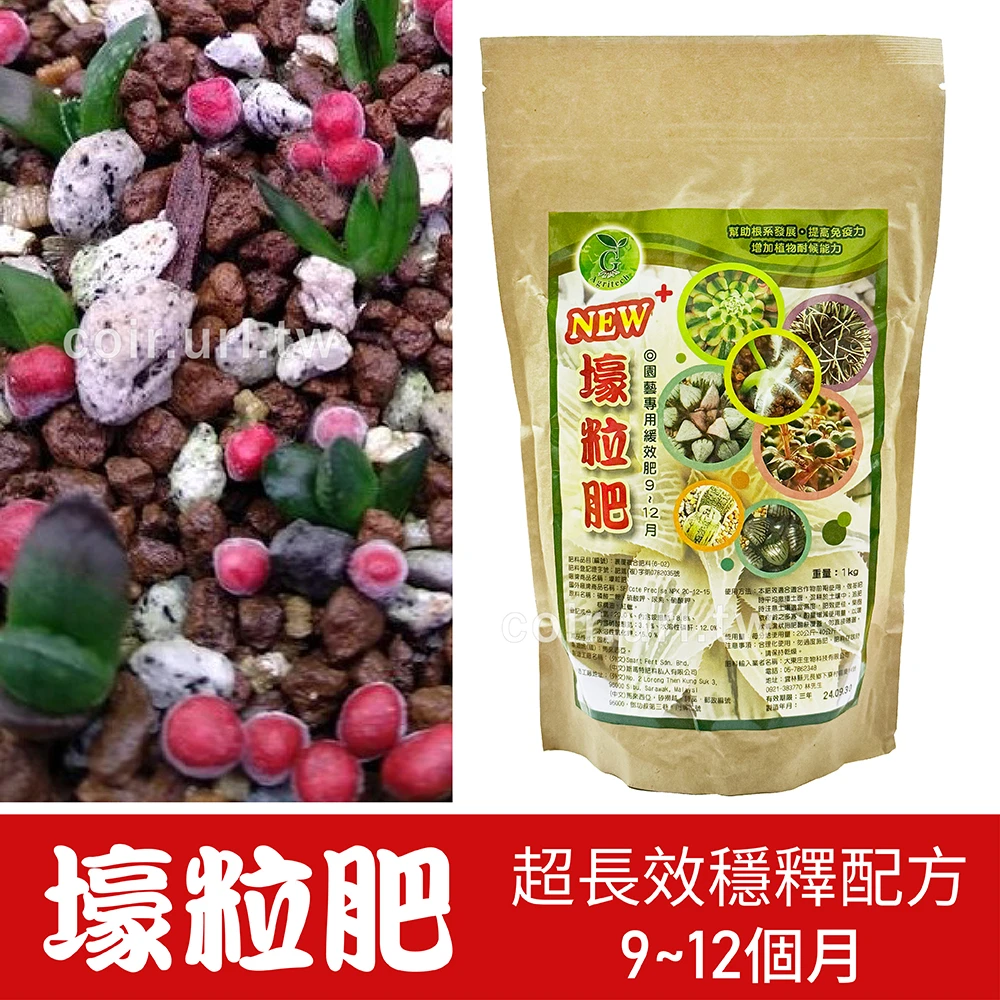 壕粒肥園藝專用緩效肥 9~12個月超長效穩釋配方 觀葉植物肥料