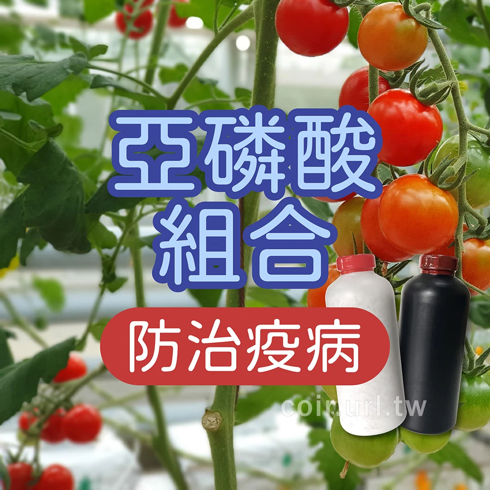 亞磷酸1Kg+氫氧化鉀1Kg（瓶裝）