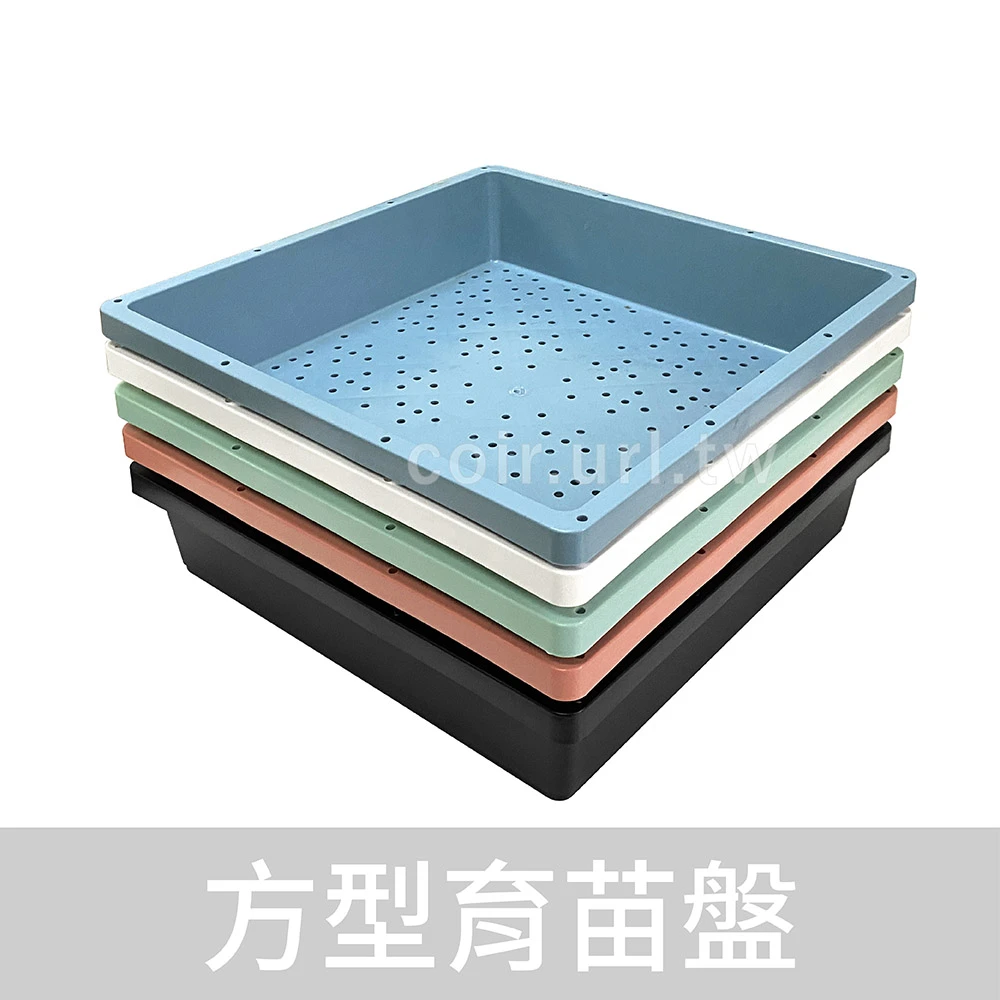 方型育苗盤(多用途整理端盤.整理盤育苗床)29cm-單入