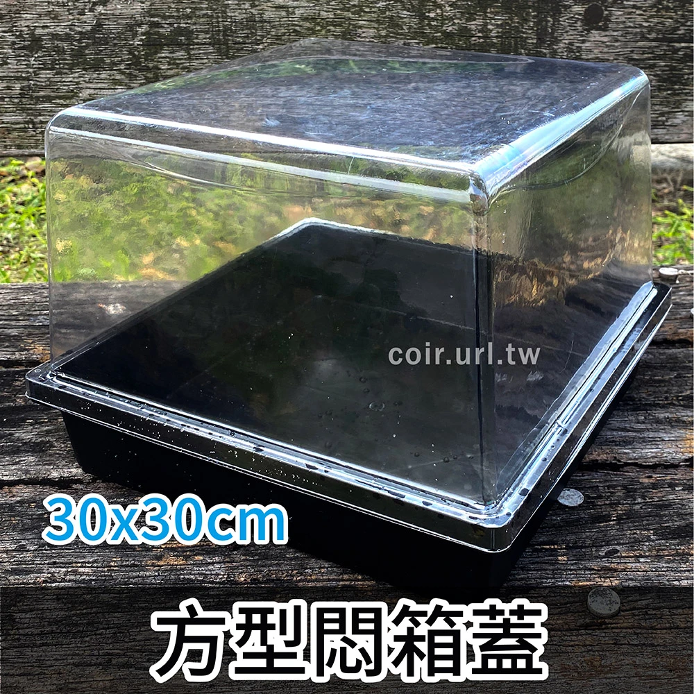 方型悶箱蓋30x30cm（育苗盤專用透明蓋）