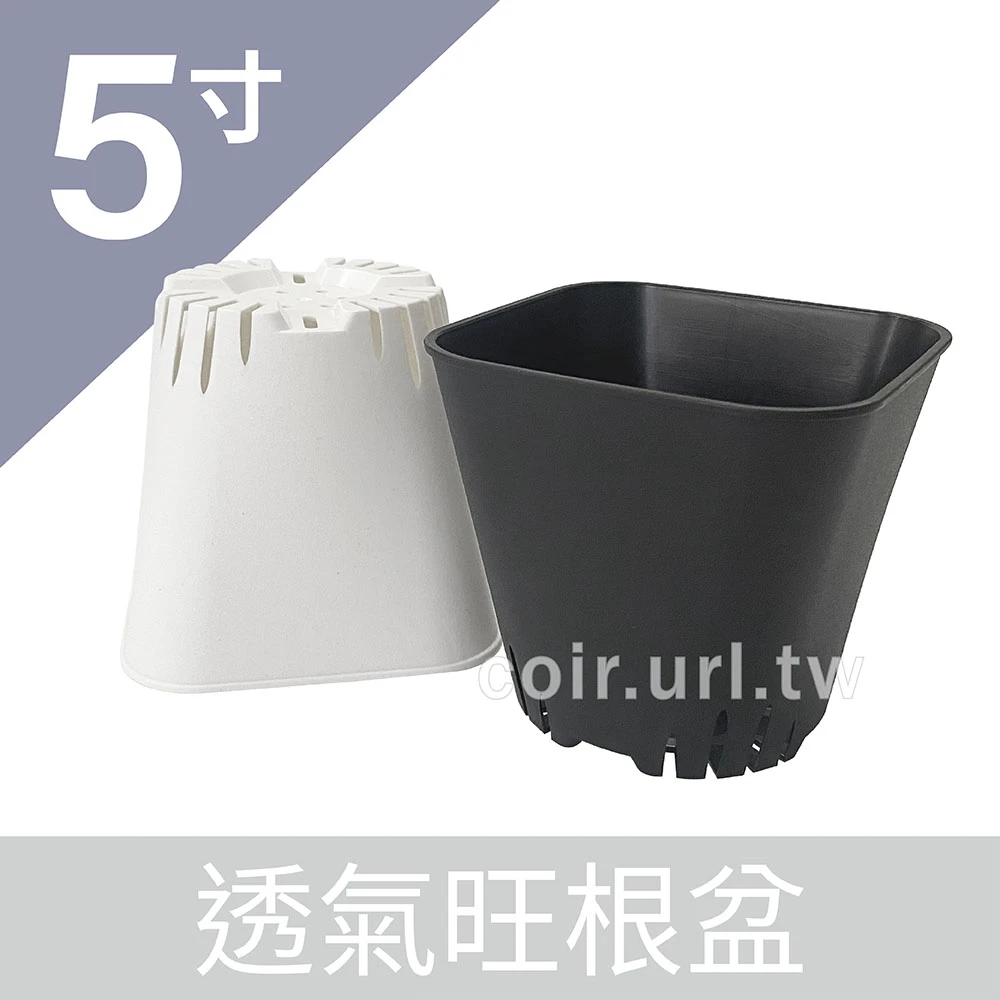 5寸透氣旺根盆 栽培花盆