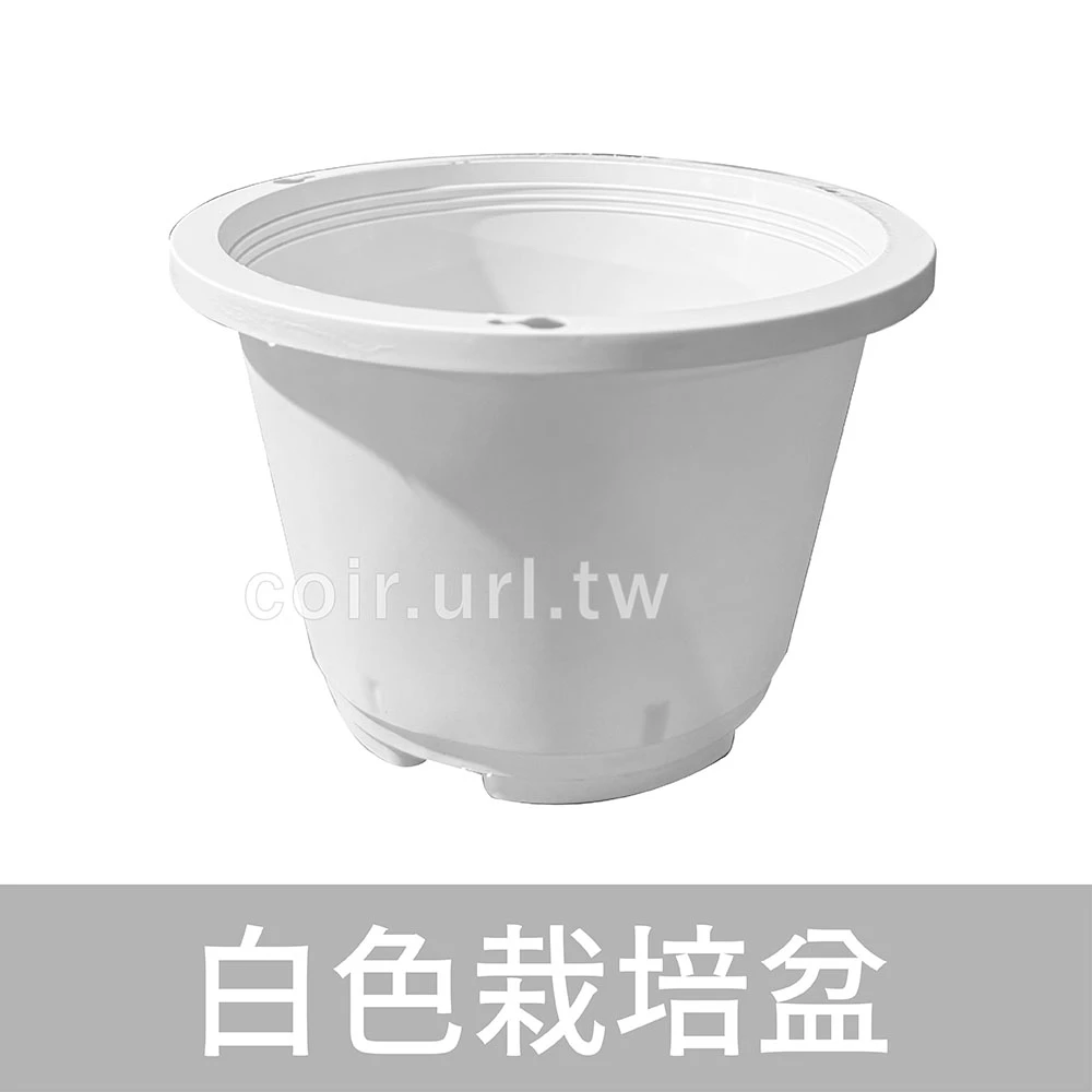 白色栽培盆