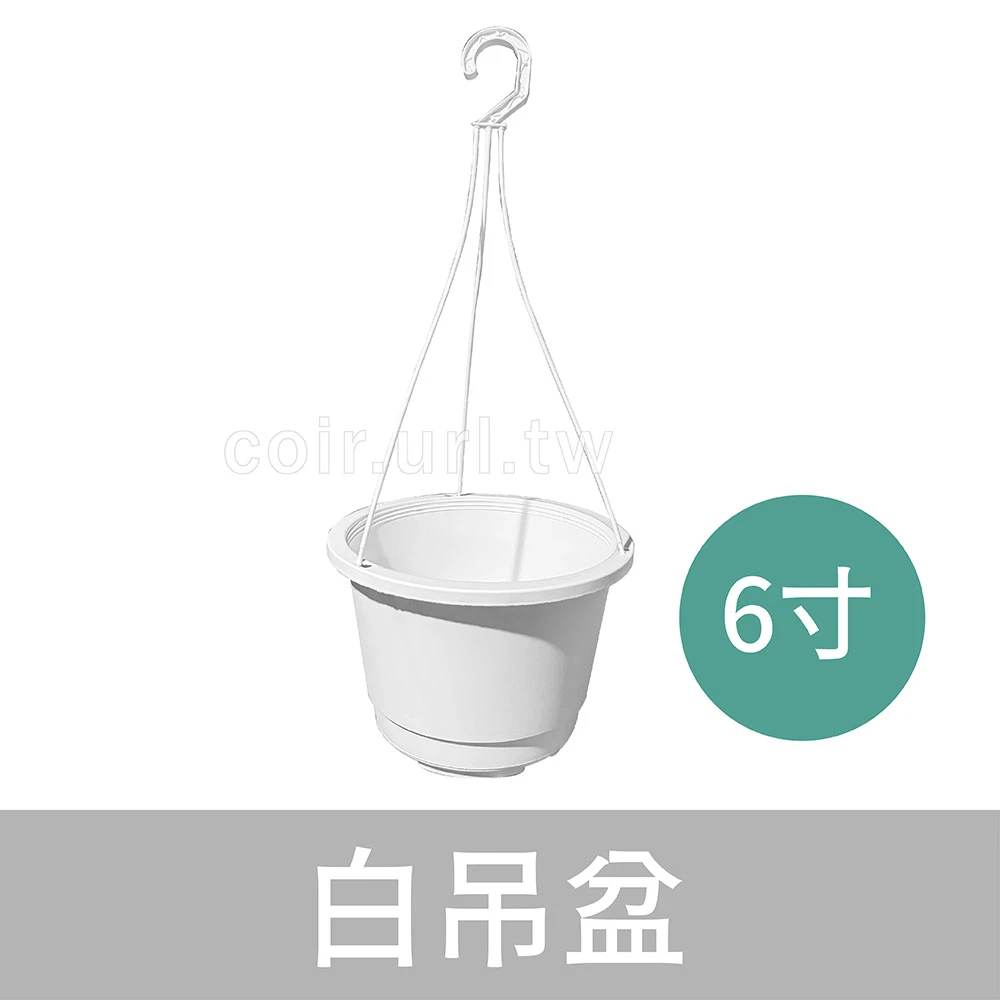 6寸(18cm)白吊盆（含吊繩）