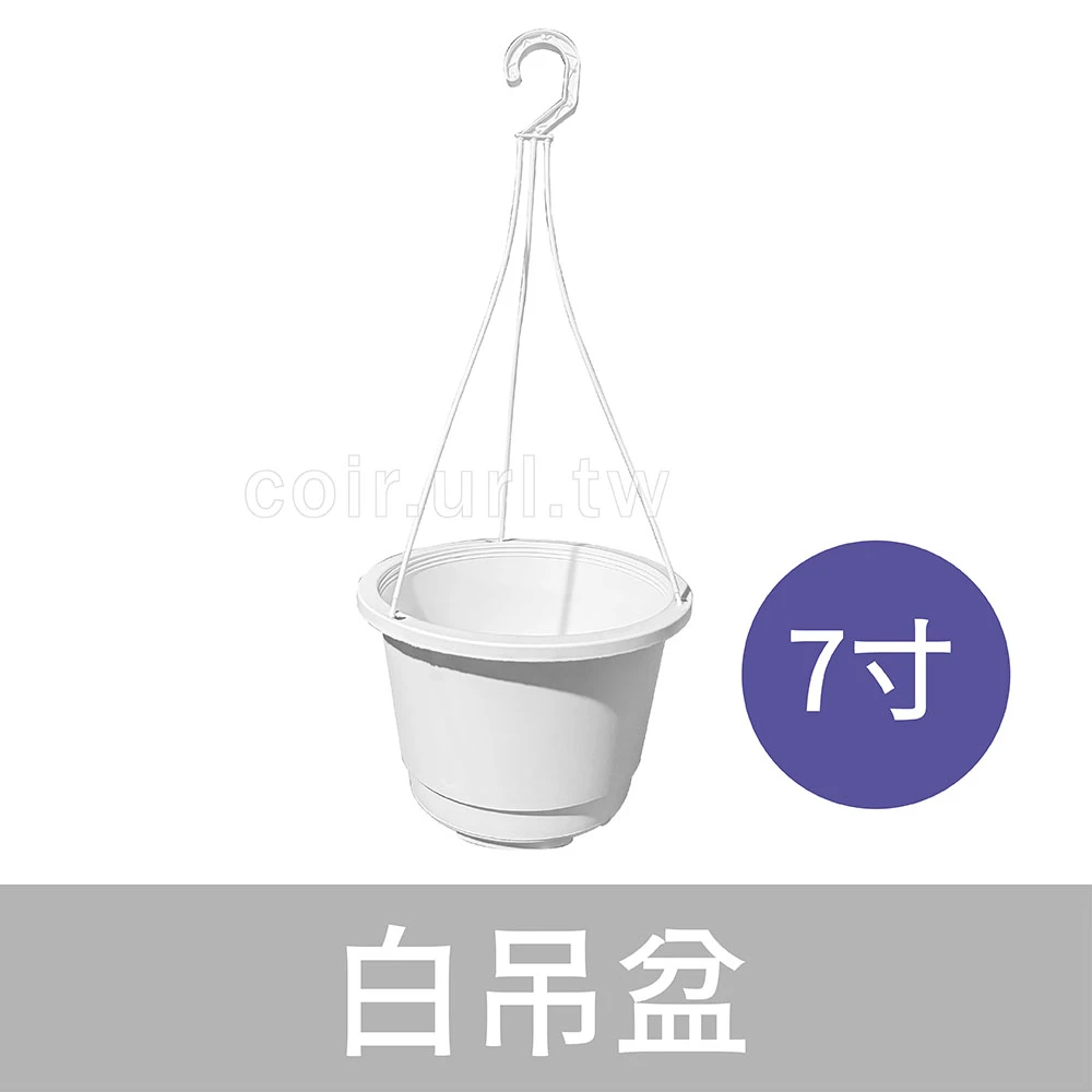 7寸(21cm)白吊盆（含吊繩）