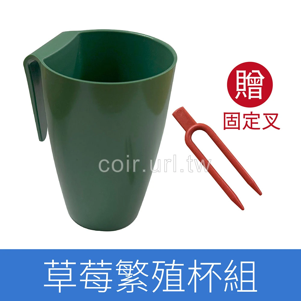 草莓走莖繁殖掛盆+固定叉 草莓育苗杯