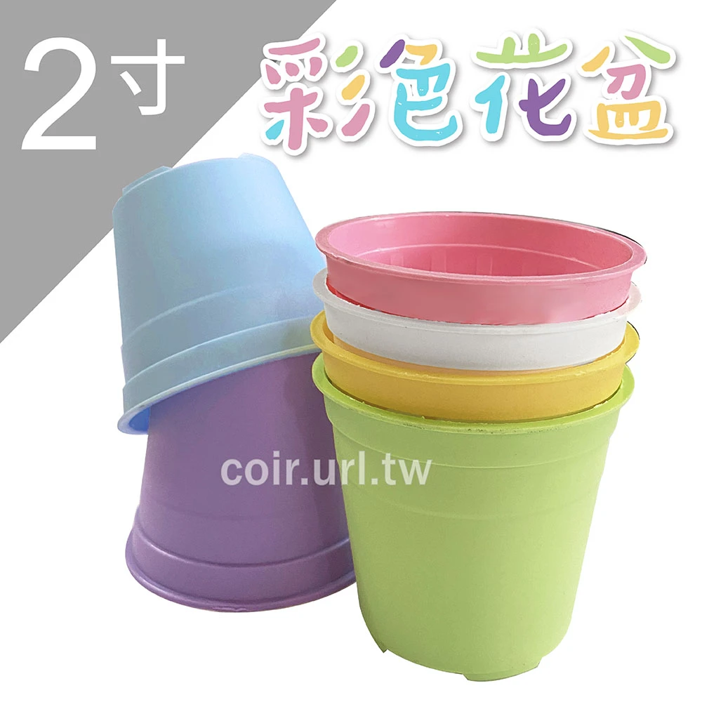 2寸(6cm)彩色栽培盆(繽紛馬卡龍)