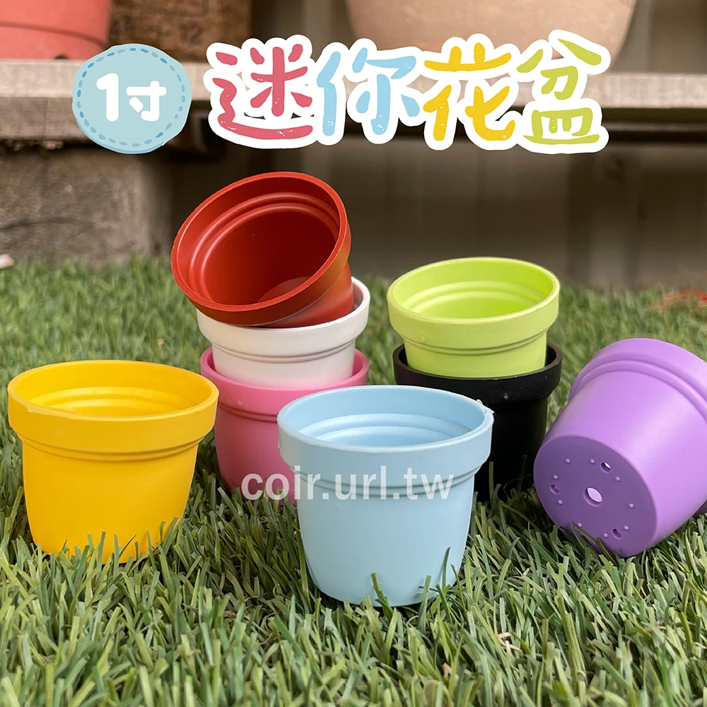 1寸迷你花盆 10個/組