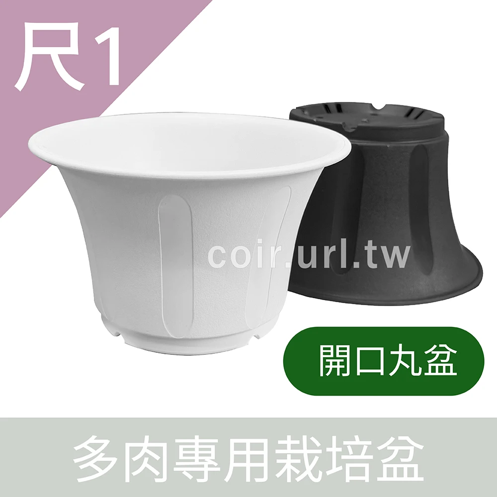 尺1(32.5cm)多肉專用栽培盆 開口丸盆