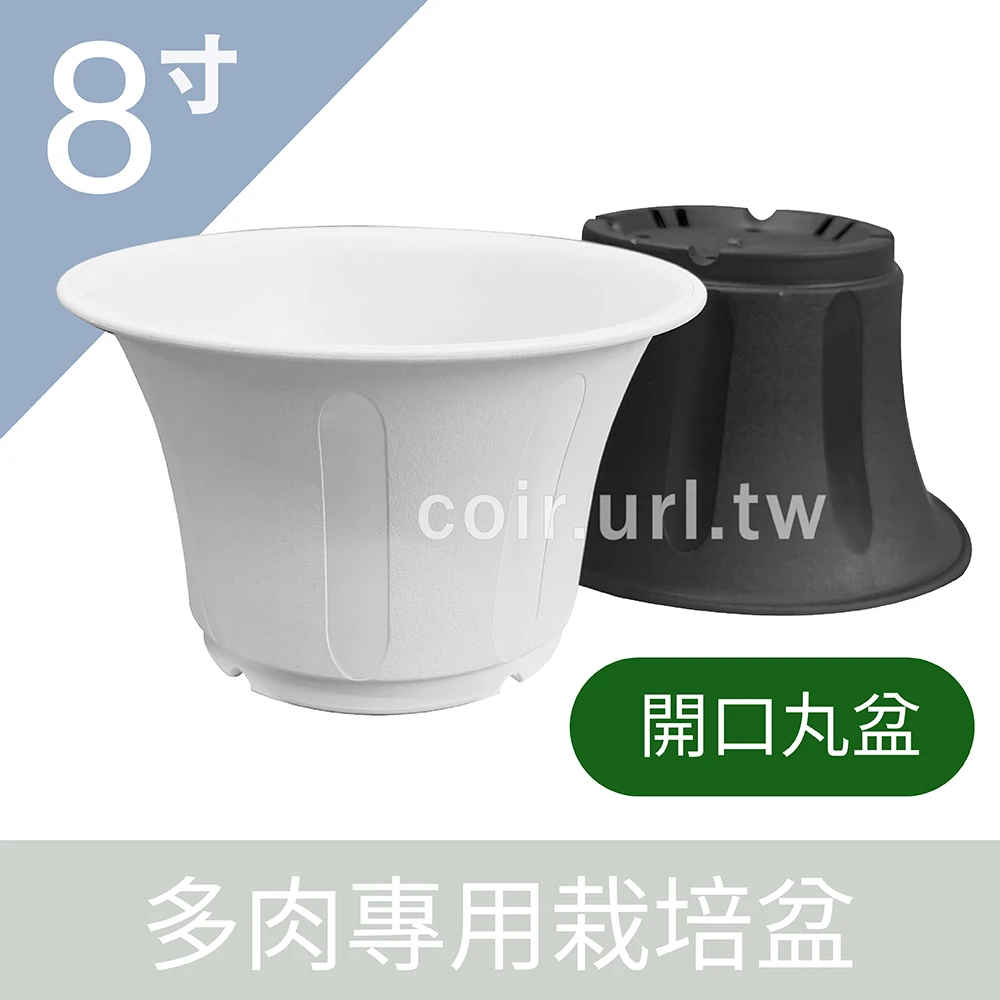 8寸(24cm)多肉專用栽培盆(開口丸盆)