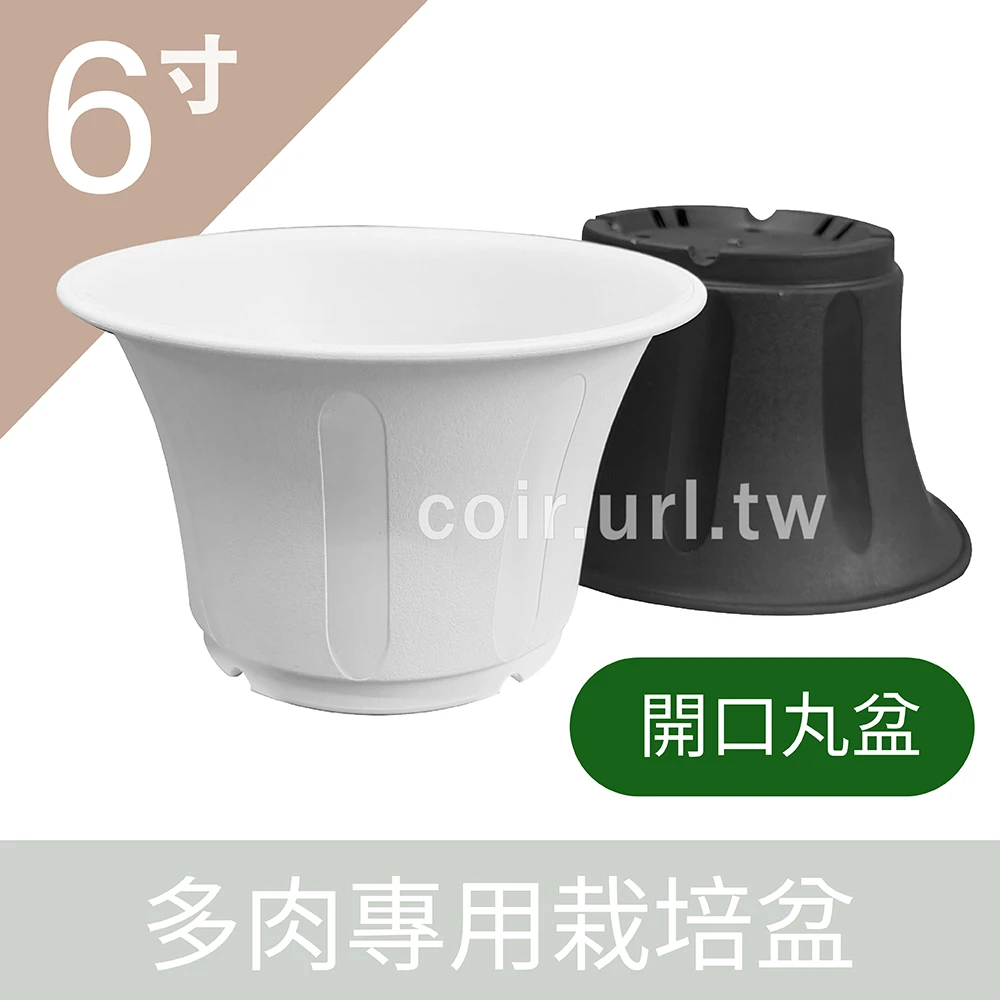 6寸(17.5cm)多肉專用栽培盆(開口丸盆)