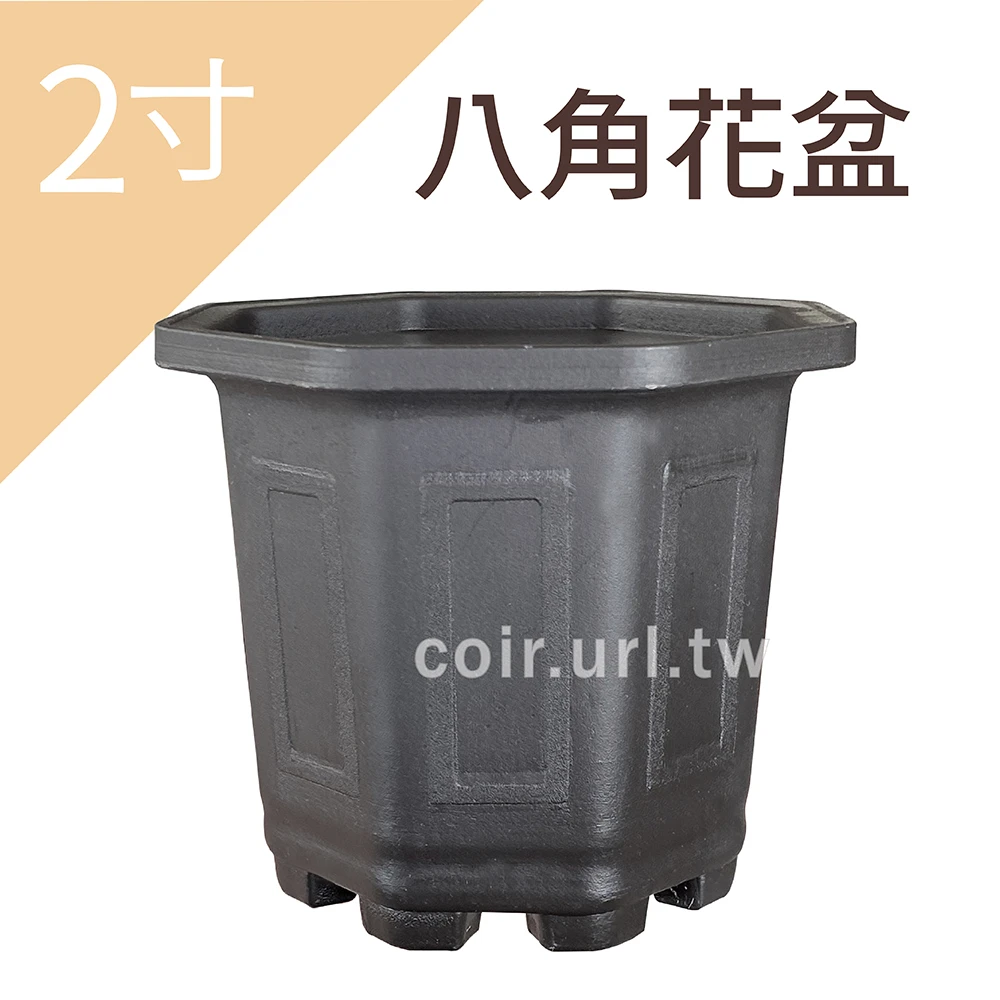 2寸(6cm)八角花盆-忠興 高5.9cm
