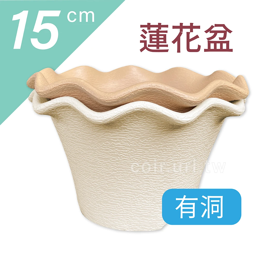 15cm蓮花花盆 高10cm 單入