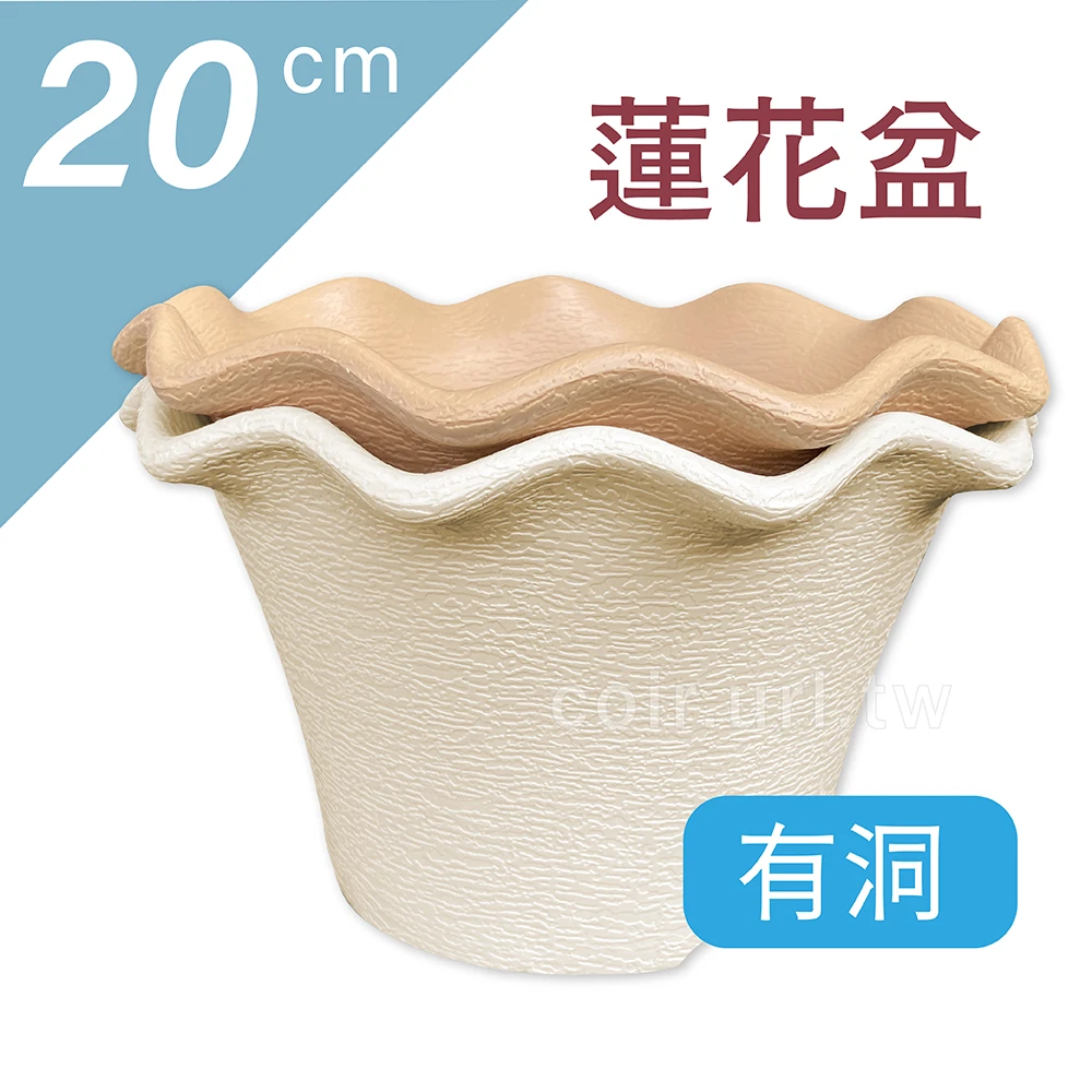 20cm蓮花花盆 高12cm 單入