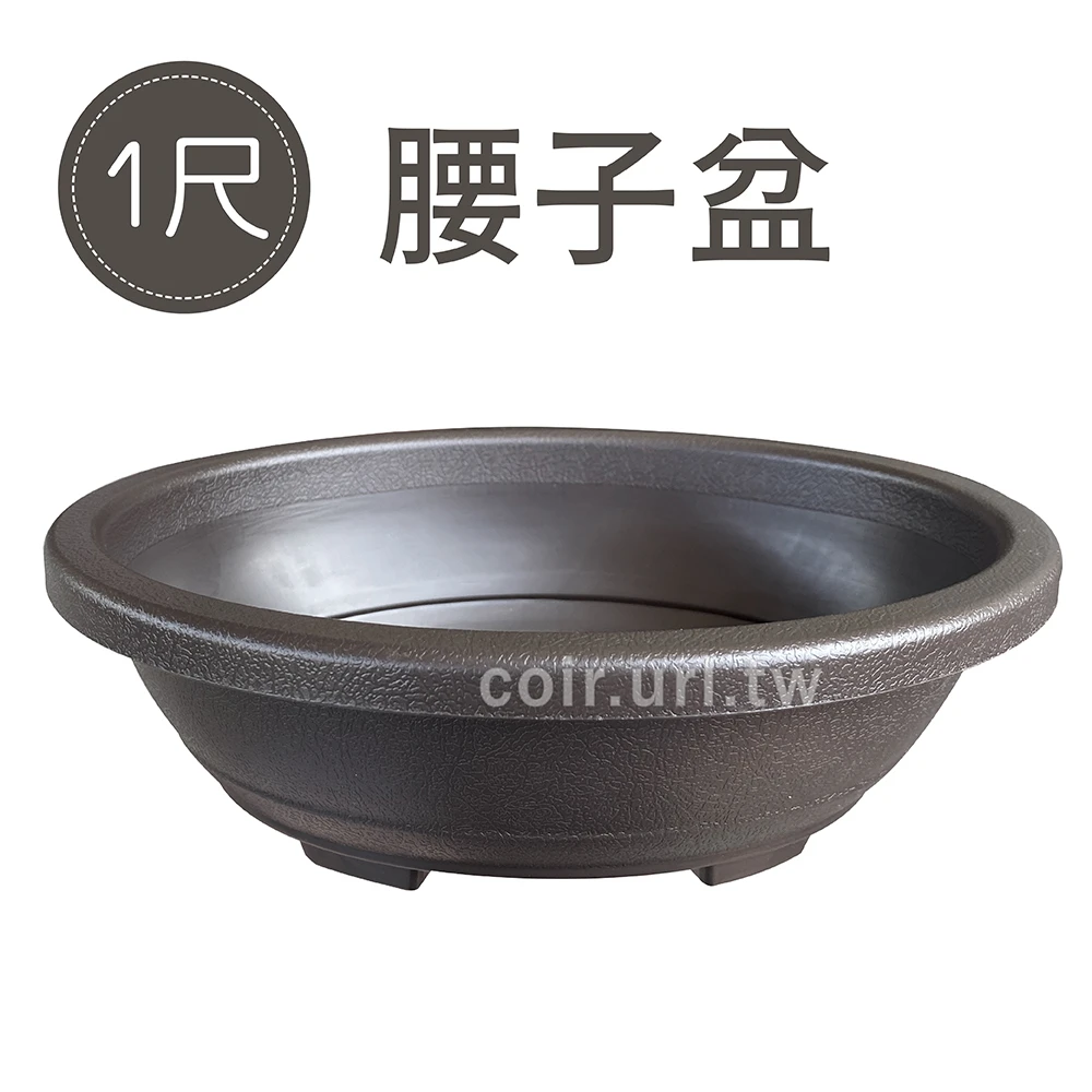 1尺(30cm)腰子盆（橢圓淺盆棕色）