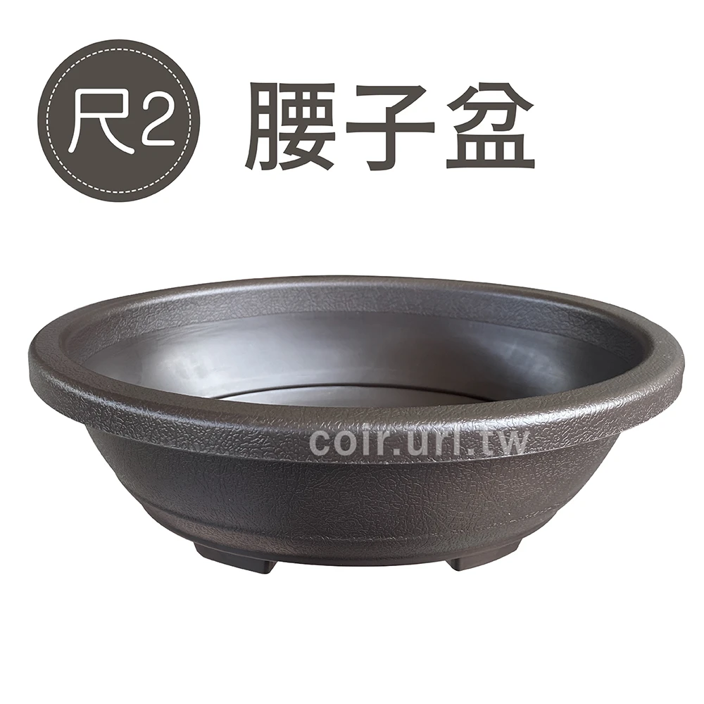 1尺2(36cm)腰子盆（橢圓淺盆棕色）
