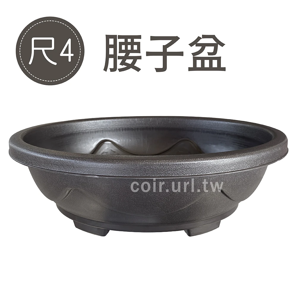 1尺4(43cm)腰子盆（橢圓淺盆棕色）