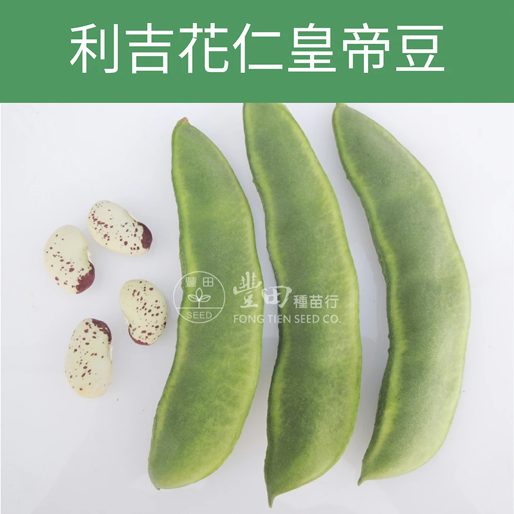 利吉花仁皇帝豆 Lima bean