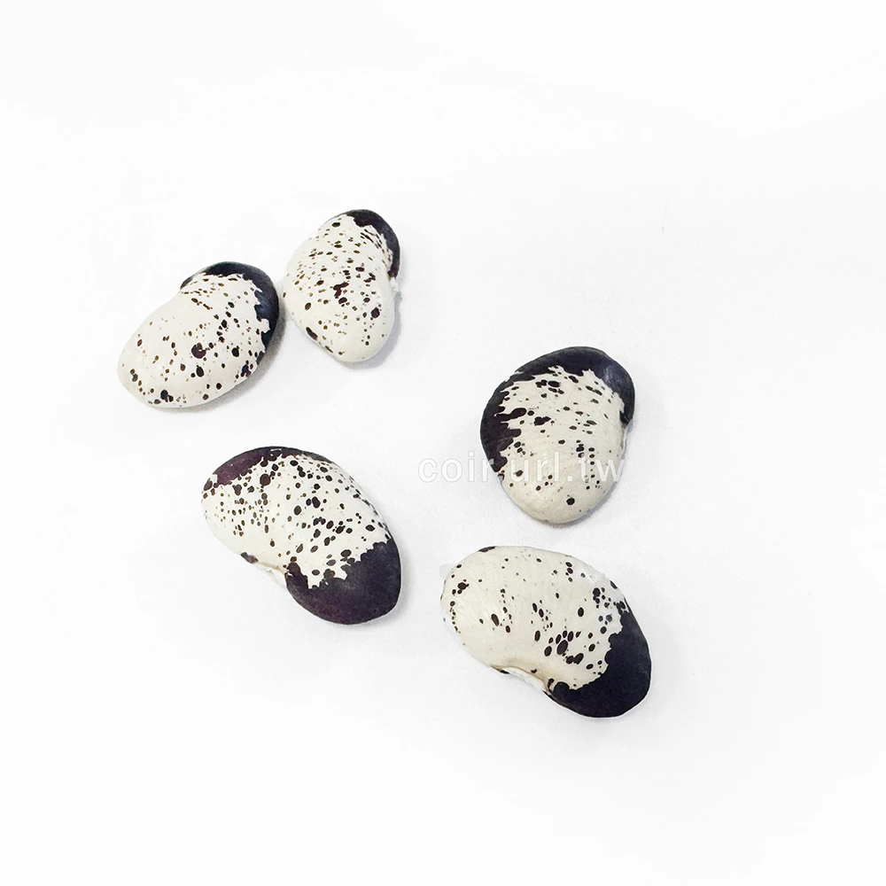 利吉花仁皇帝豆 Lima bean