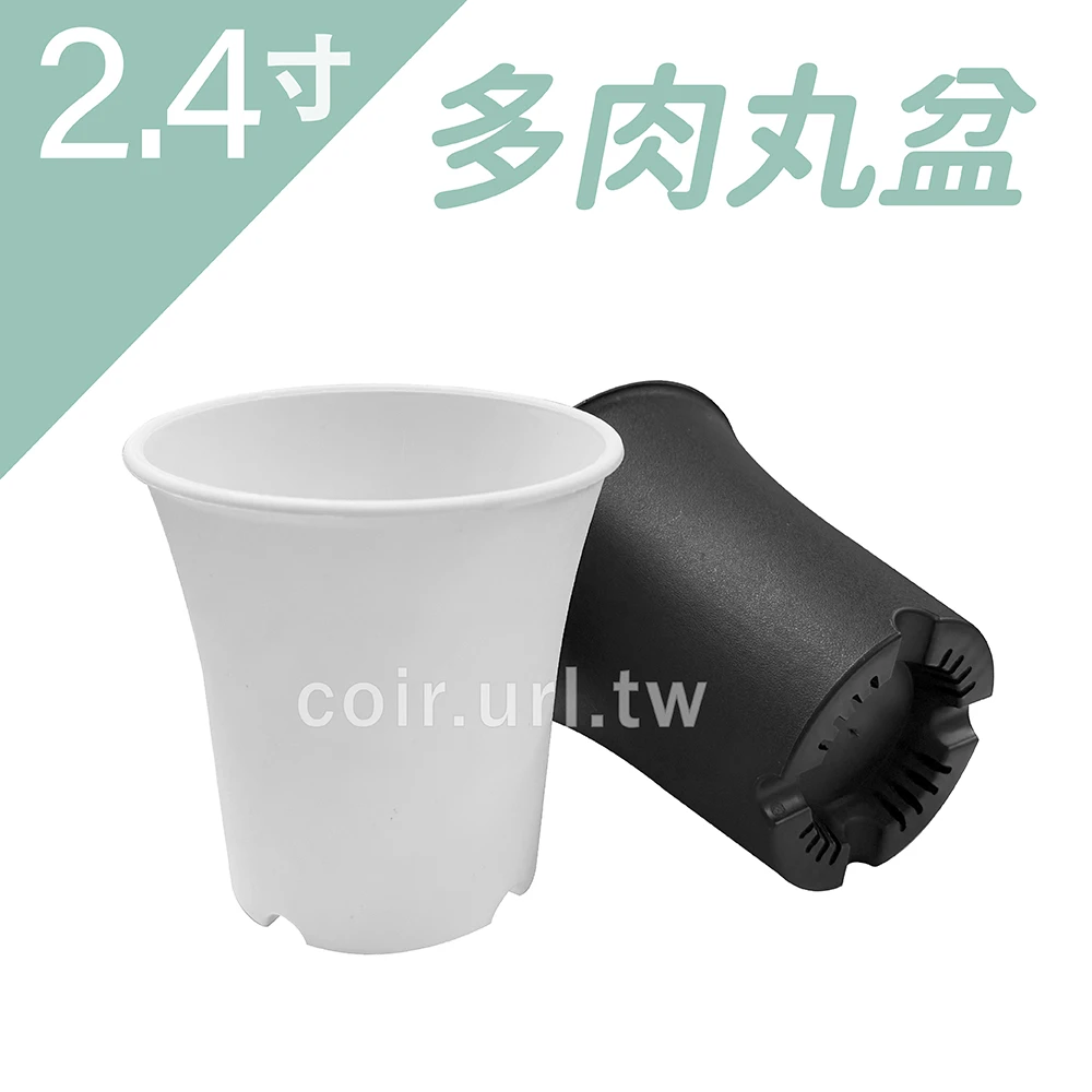 2.4寸(7.3cm)多肉丸盆