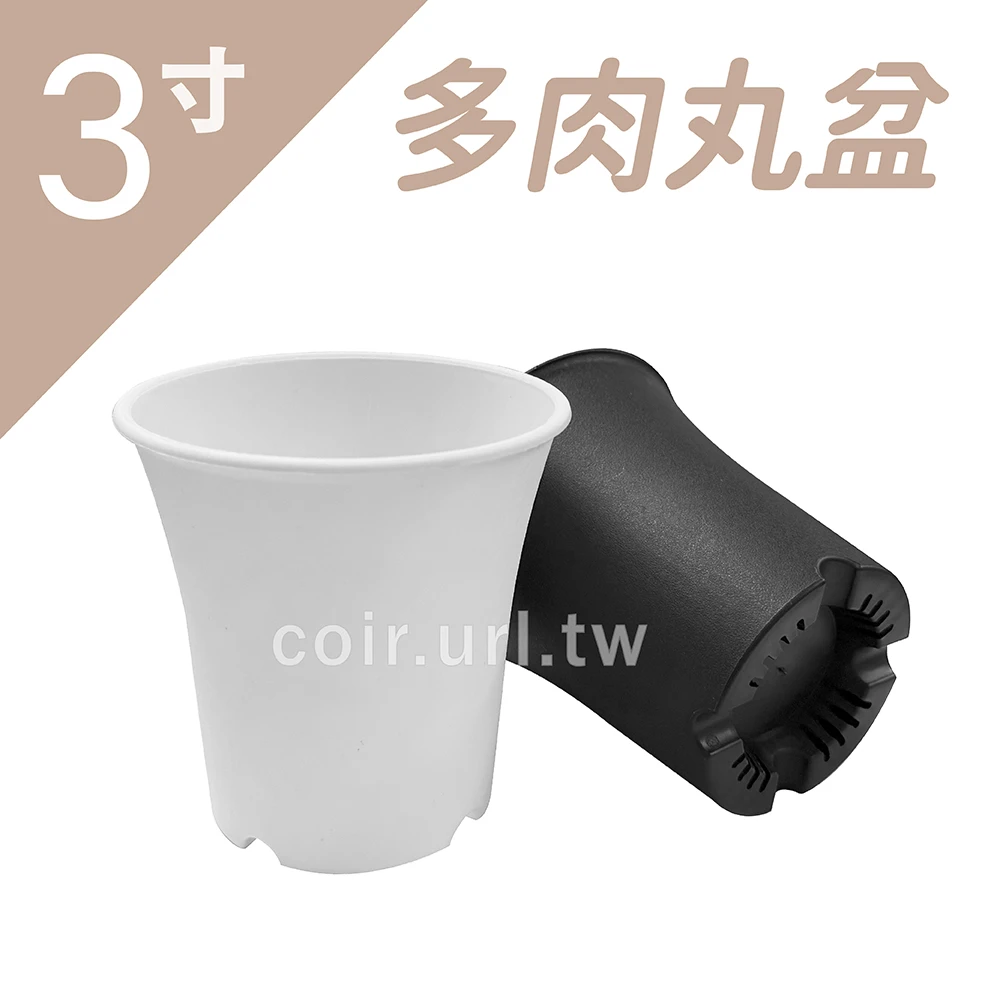3寸(9.4cm)多肉丸盆