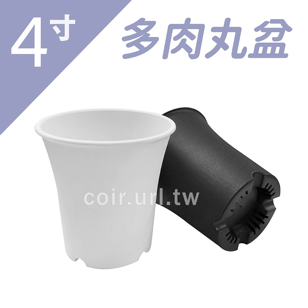 4寸(12cm)多肉丸盆