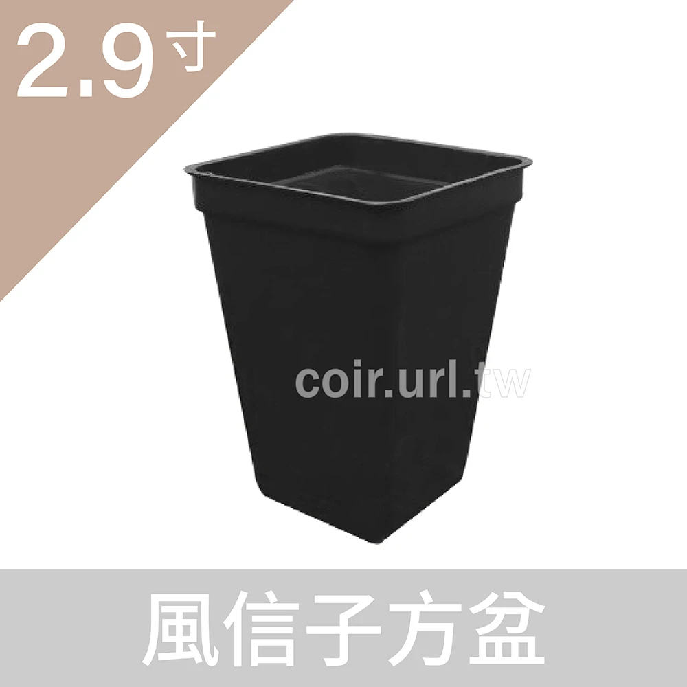 2.9寸方型栽培盆(風信子方盆)
