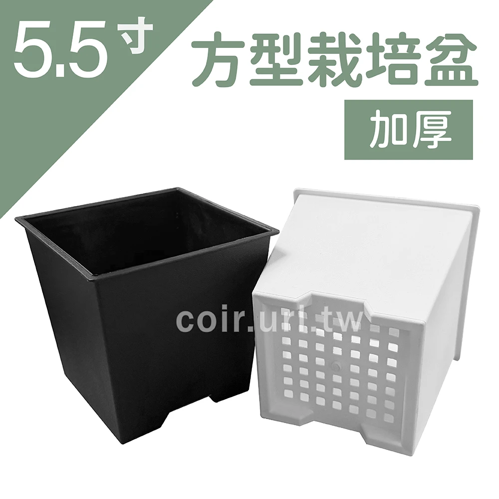 5.5寸(16.7cm)方型栽培盆（加厚方型盆）