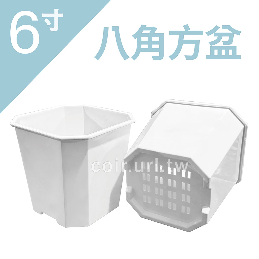6寸(18cm)八角方盆(藏龍園)