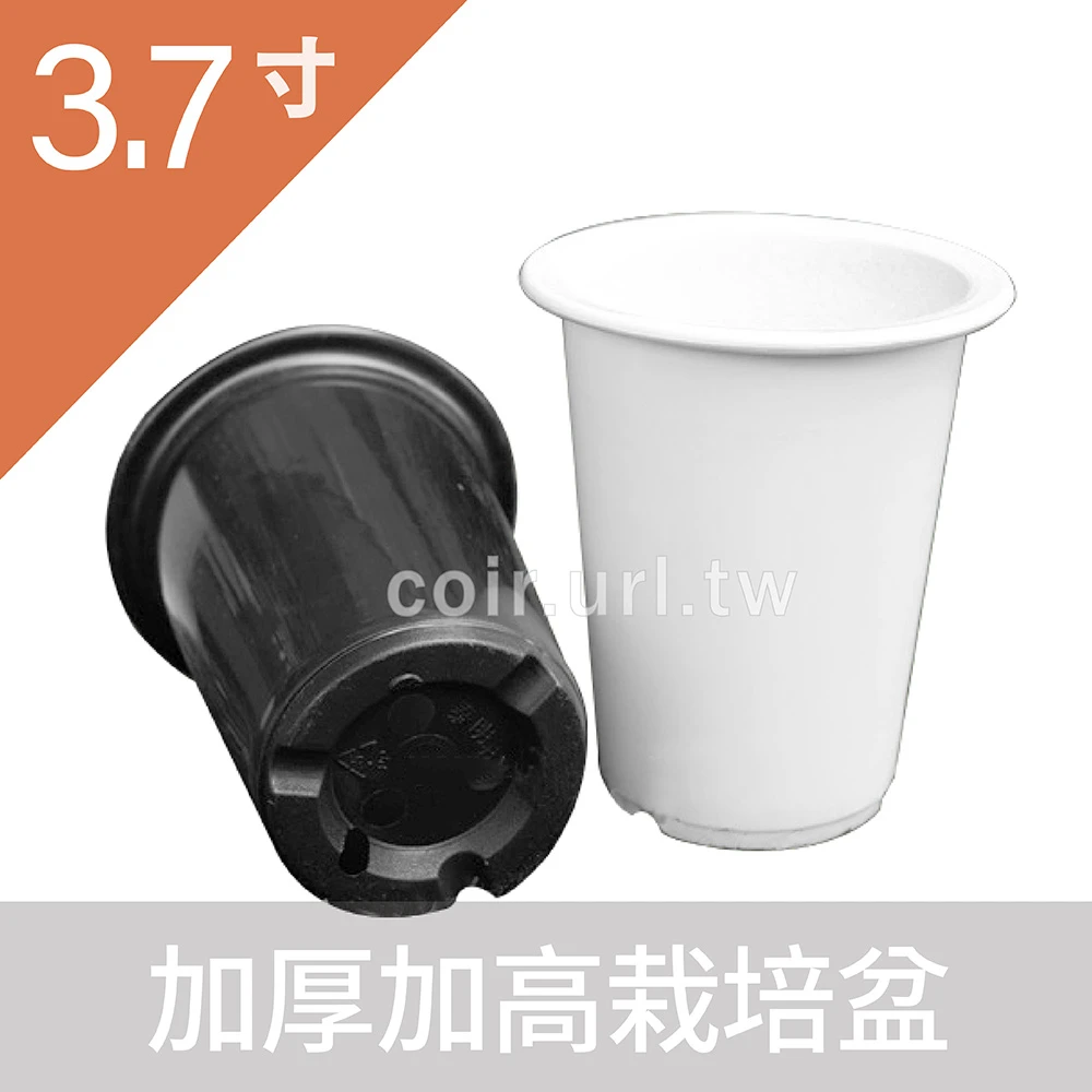 3.7寸(11x13cm)加厚加高栽培盆-泰明丸盆