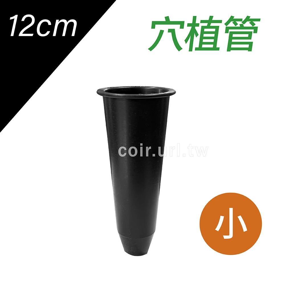 穴植管(12cm)小  走莖繁殖