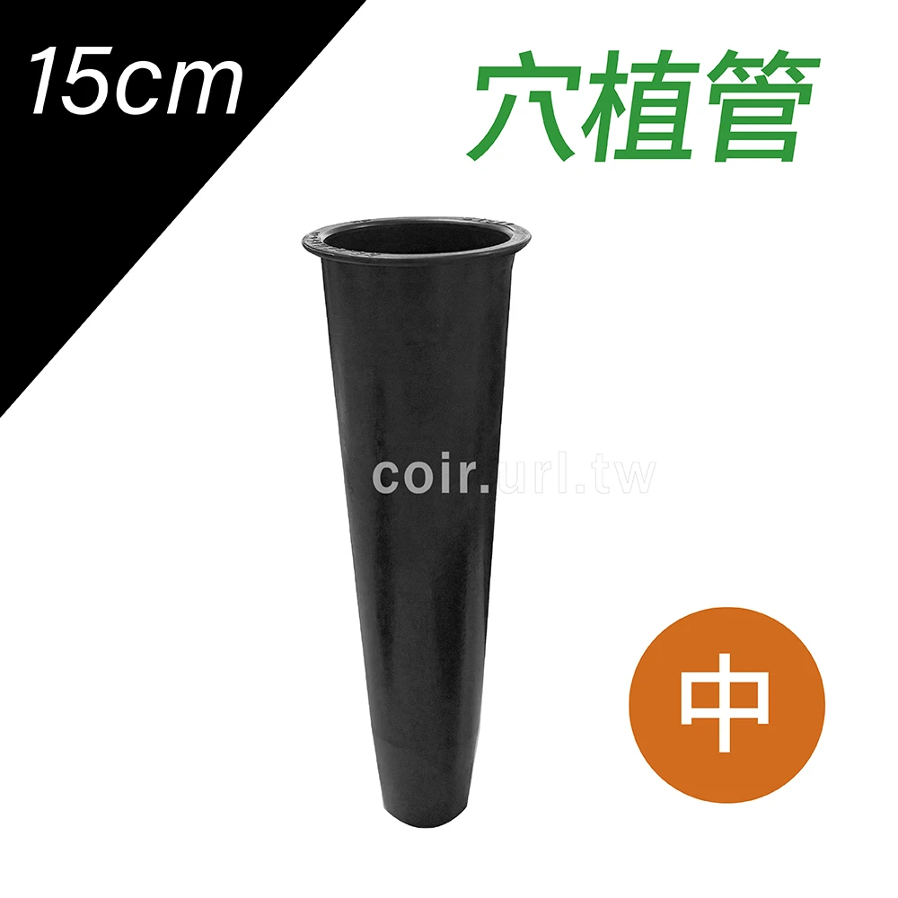 穴植管(15cm)中 走莖繁殖