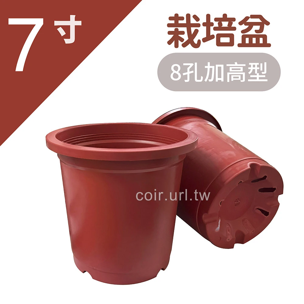 7寸(21cm)栽培盆（8孔加高型）(松興)