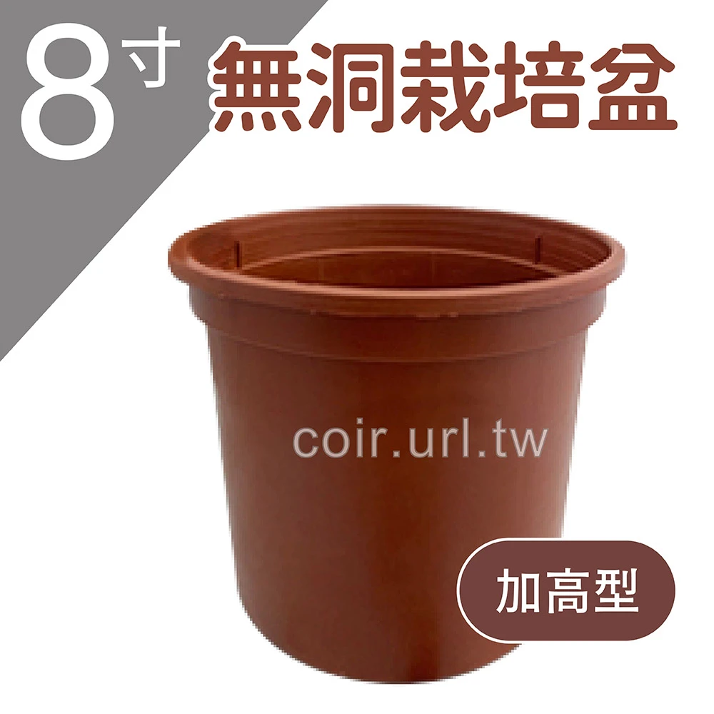 8寸(24cm)無洞栽培盆-加高型19cm