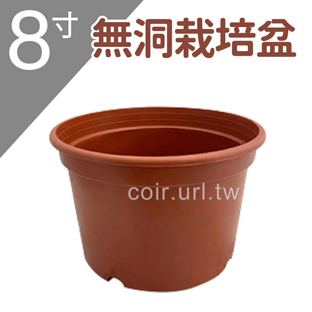 8寸(24cm)無洞栽培盆 矮16.5cm
