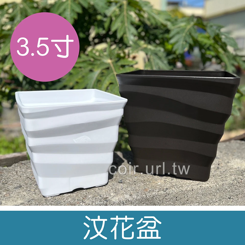 汶花盆-3.5寸(10.4cm)厚方型盆 高8cm
