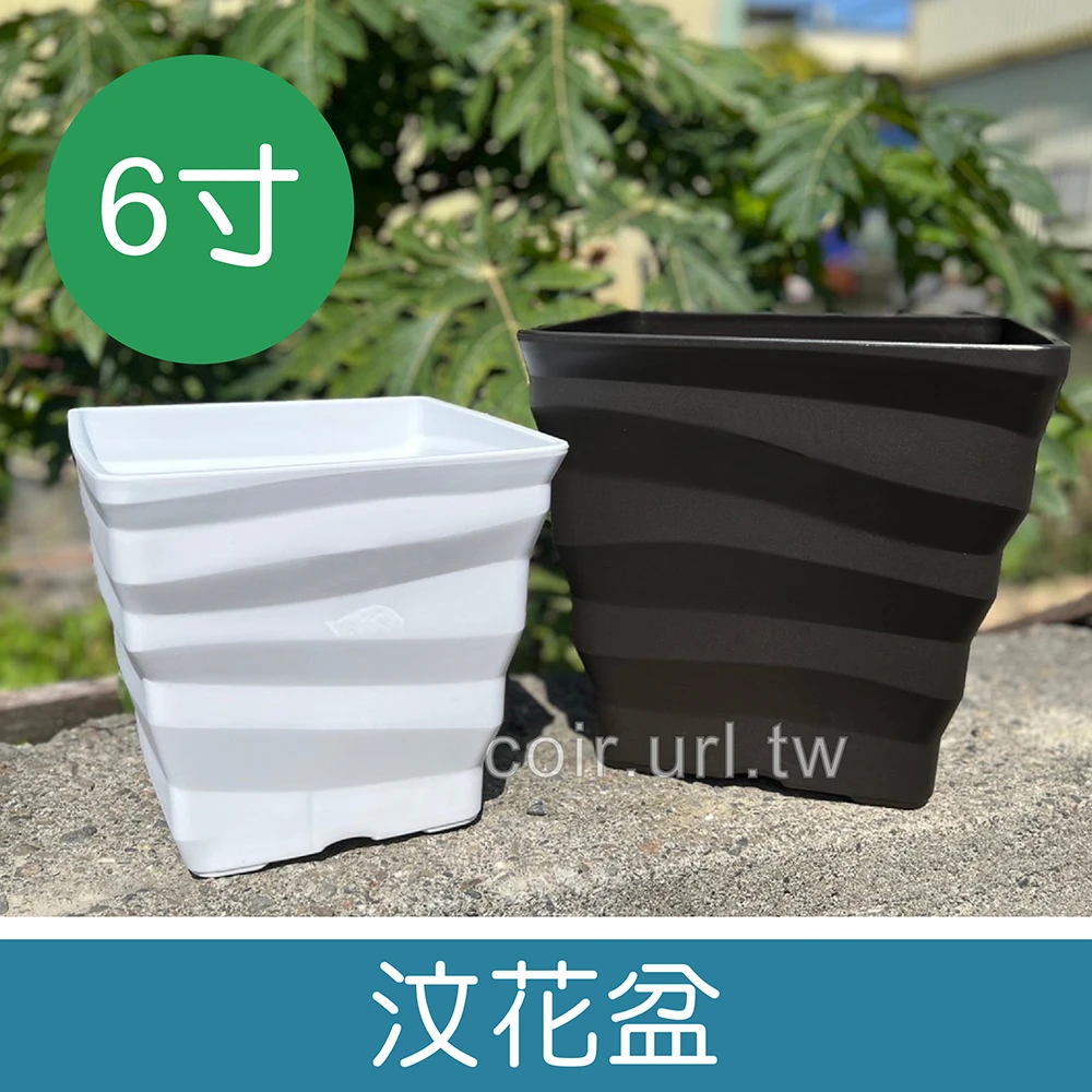 汶花盆-6寸(18cm)厚方型盆 高16cm