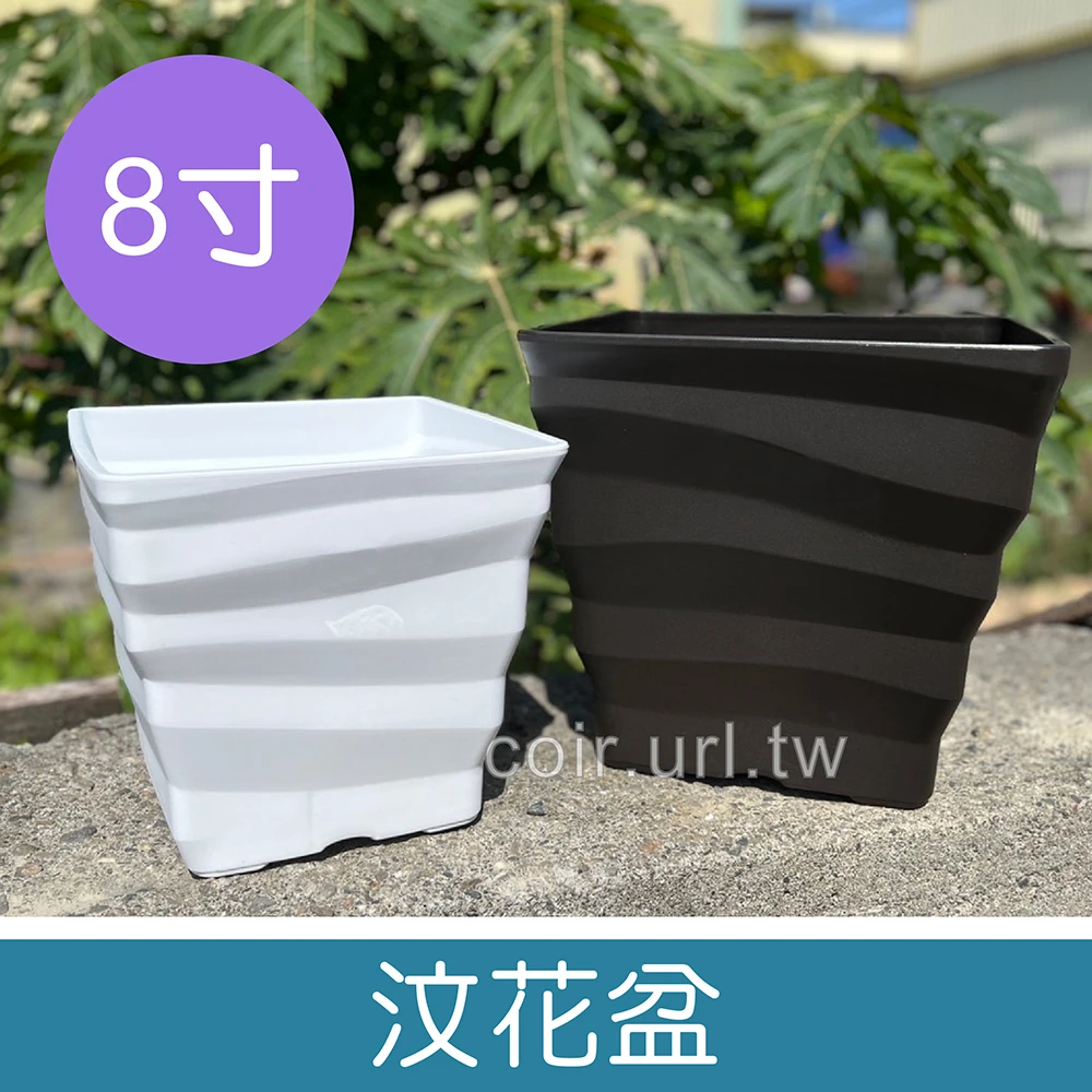 汶花盆-8寸(24cm)厚方型盆 高22cm