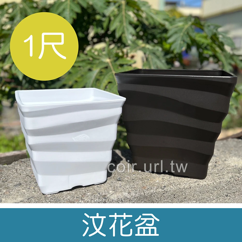 汶花盆-1尺(31cm)厚方型盆 高28cm