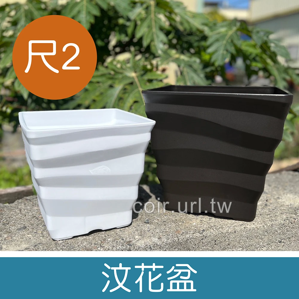 汶花盆-1尺2(38cm)厚方型盆 高33cm