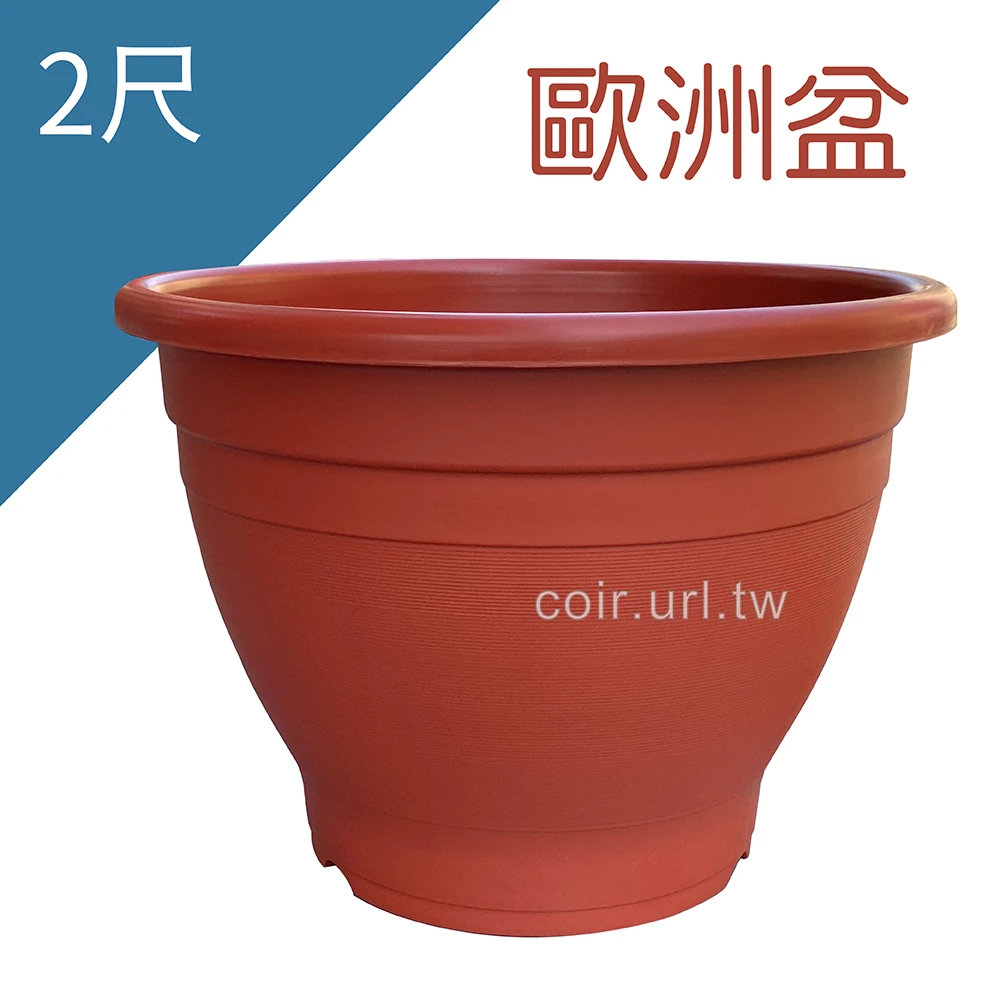 2尺(60cm)歐洲盆 大樹盆 高44cm