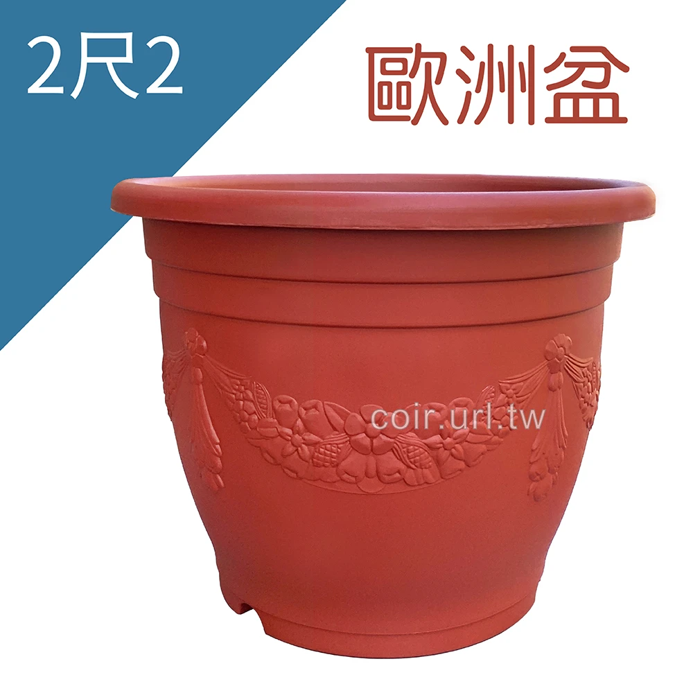 2尺2(65cm)歐洲盆 大樹盆(有洞) 高50cm