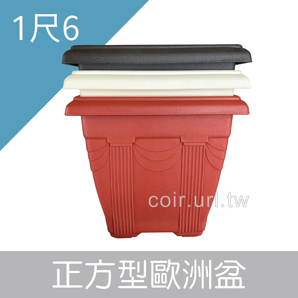尺6(48cm)正方型歐洲盆 高39.5cm