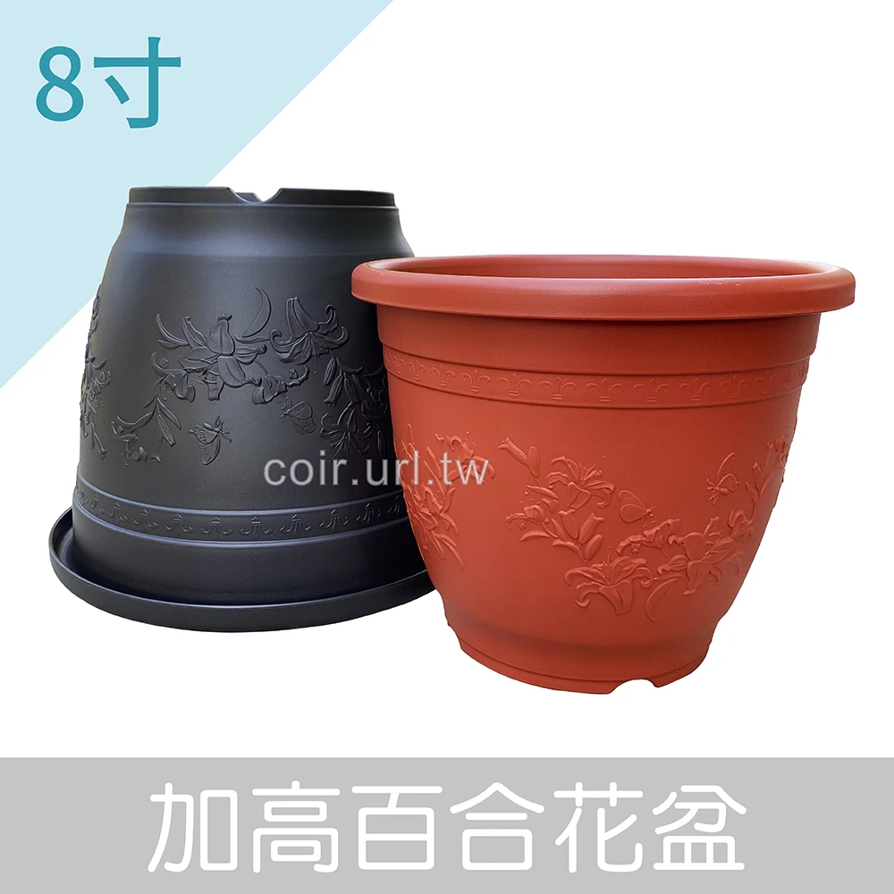 8寸(24cm)加高百合花盆 高20cm