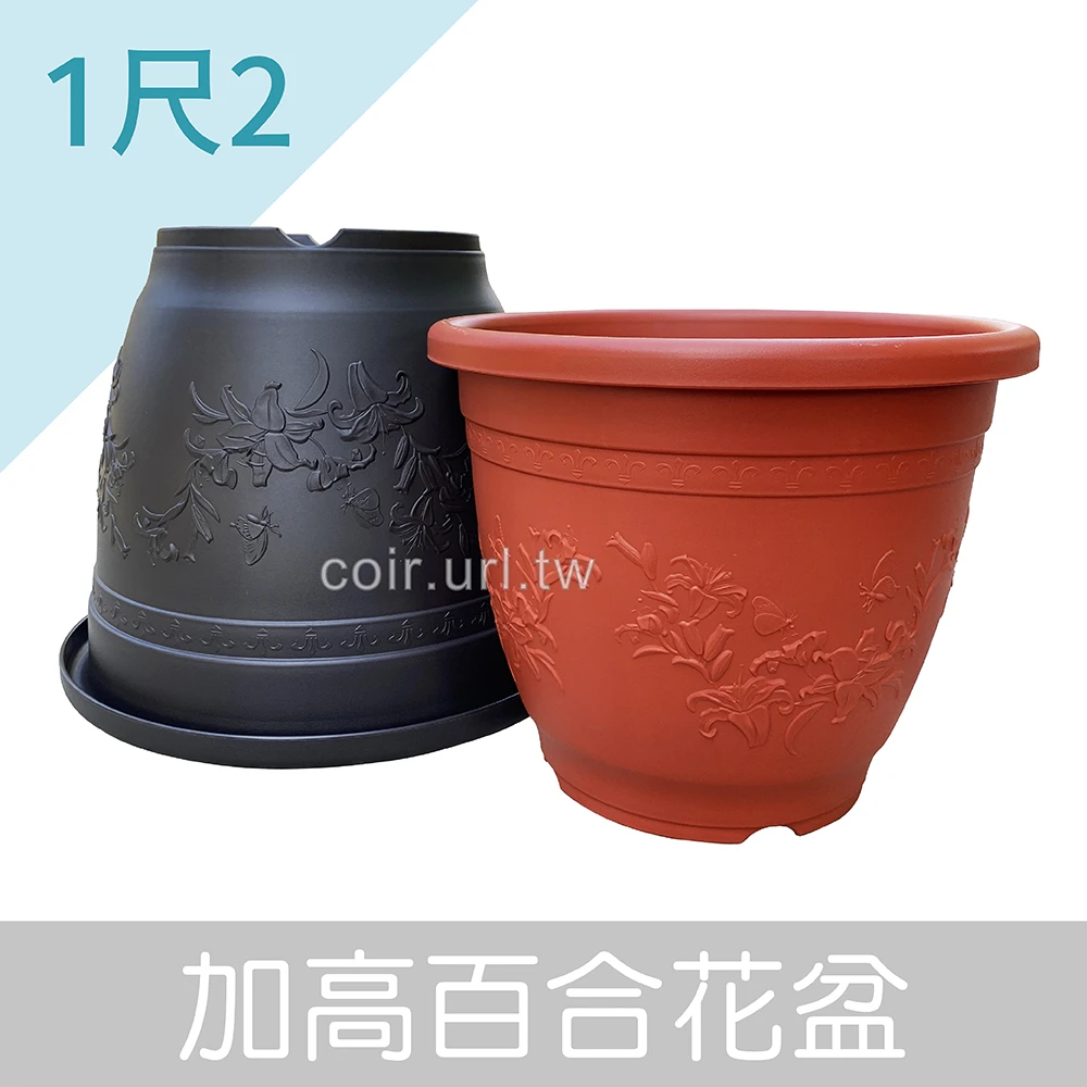 1尺2(36cm)加高百合花盆 高30cm