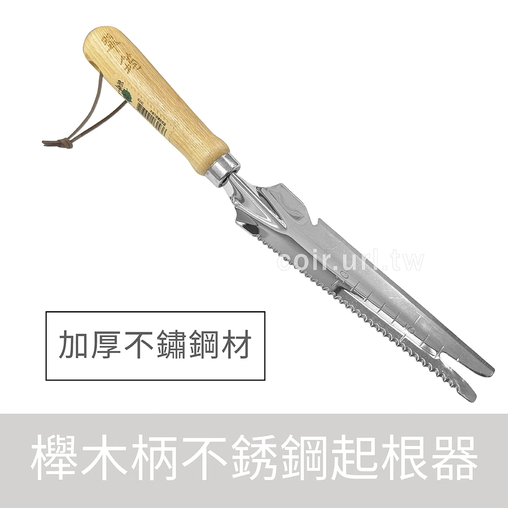 櫸木柄不銹鋼起根器 移植刀