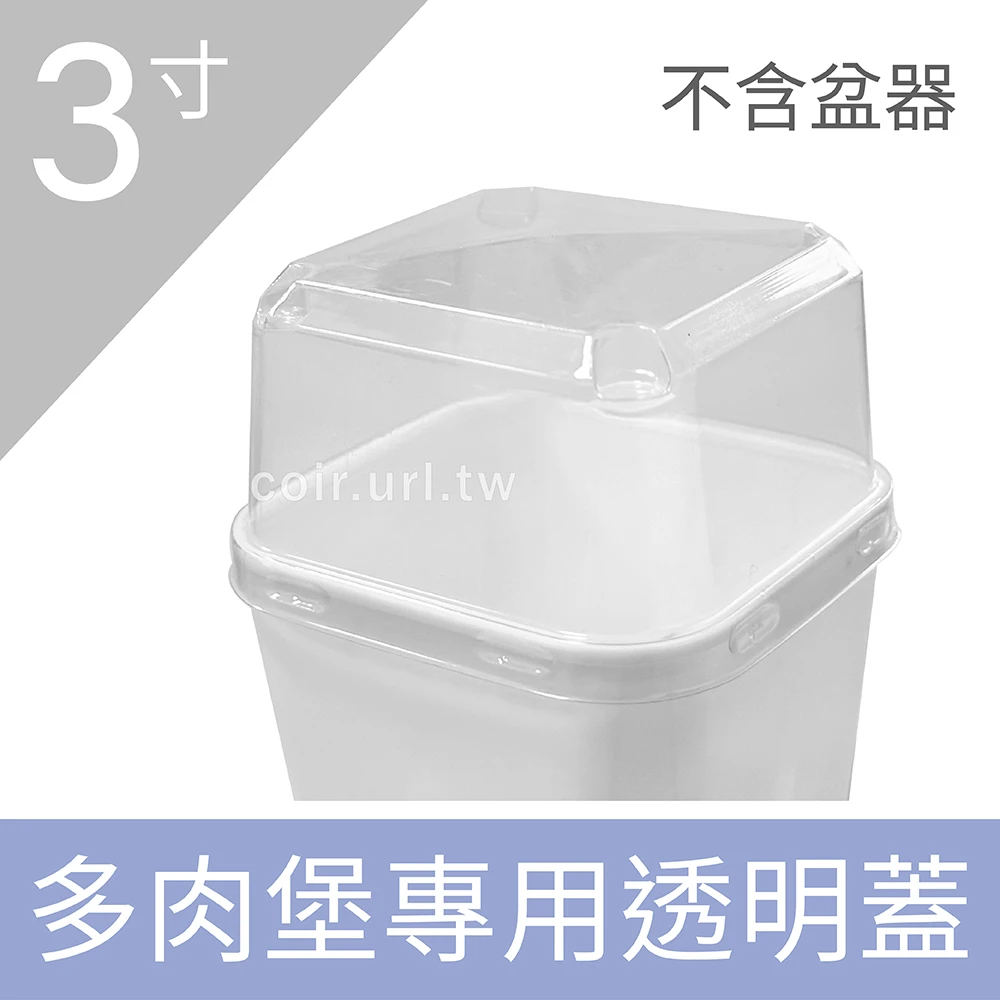 多肉堡專用透明蓋 3寸單盆悶箱蓋 單入