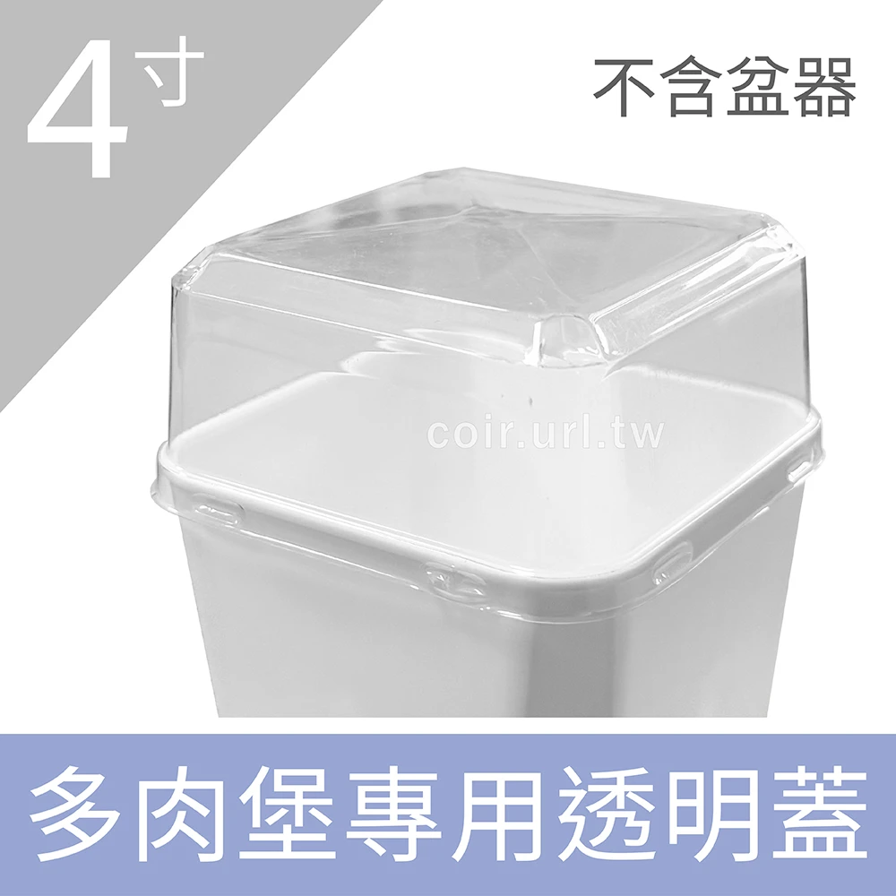 多肉堡專用透明蓋 4寸單盆悶箱蓋 單入